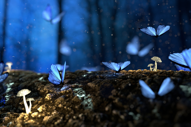 The Environmental Movement Is Gaining a New Superpower: Seeing Nature as It Changes